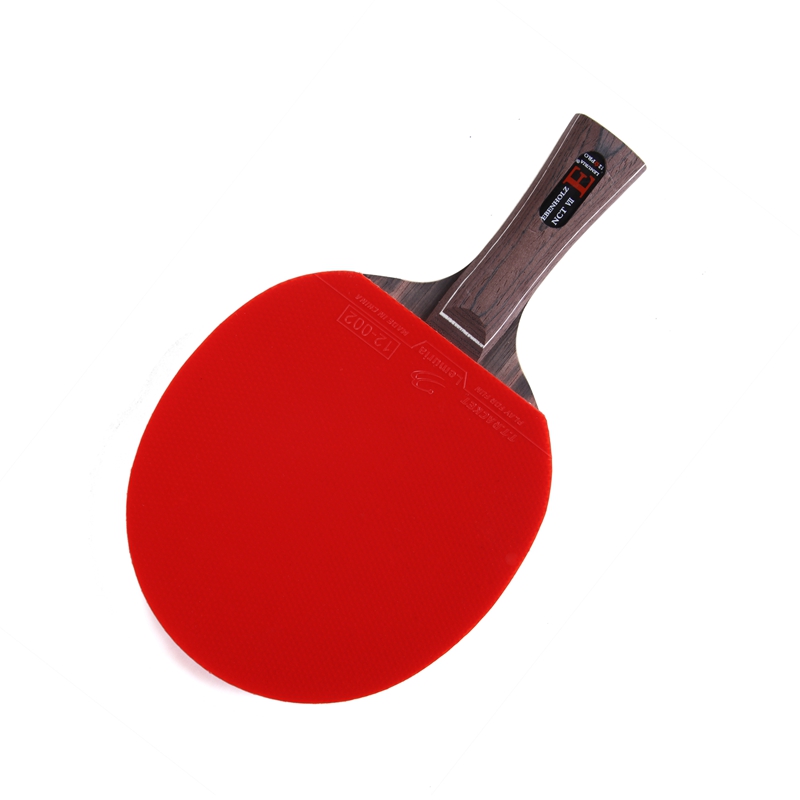 Lemuria EBENHOLZ-Table Tennis  - Table Tennis Forehand Rubber 评论和价格