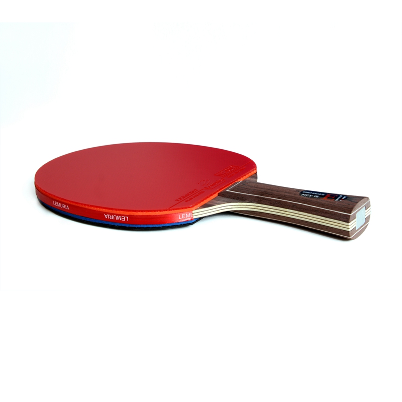 Lemuria EBENHOLZ-Table Tennis  - Table Tennis Forehand Rubber 评论和价格