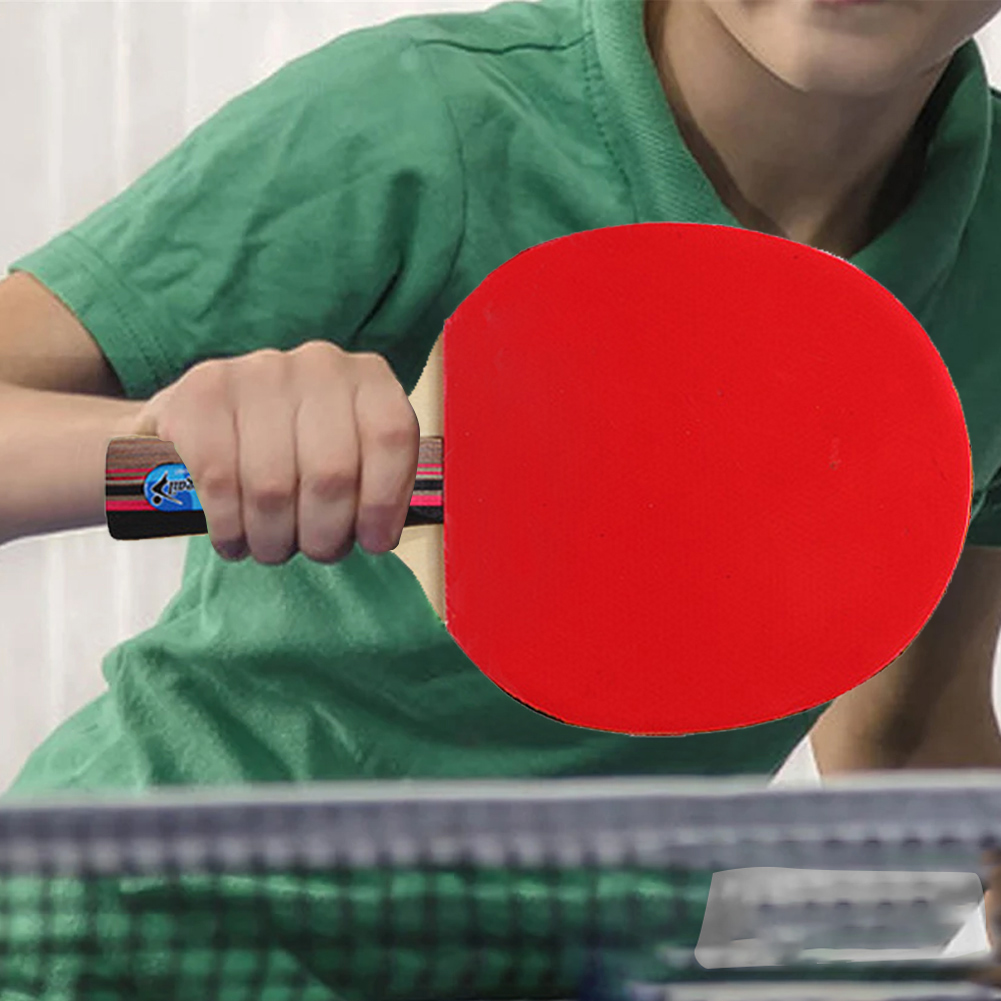 Ping Pong Paddles with Storage - Table Tennis Player 评论和价格